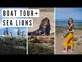 Spotting SEA LIONS in Peninsula Valdes on a Boat Tour | Chubut, Argentina