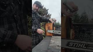 Celebrity Chainsaw Kickback Explained Wealth