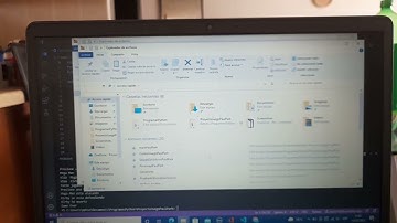 ProyectoJuego Python (Tarea 3 Clase 3) Paul Park