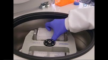 Next Generation Sequencing for the Detection of Actionable Mutations in Solid and Liquid Tumors