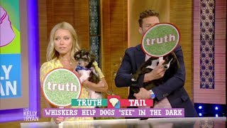 Truth or Tail with Bernadette Peters