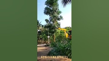 JCB 3DX works 🌲🌳🌴🌲🌳🌴 "" village trees cutting 👌👌