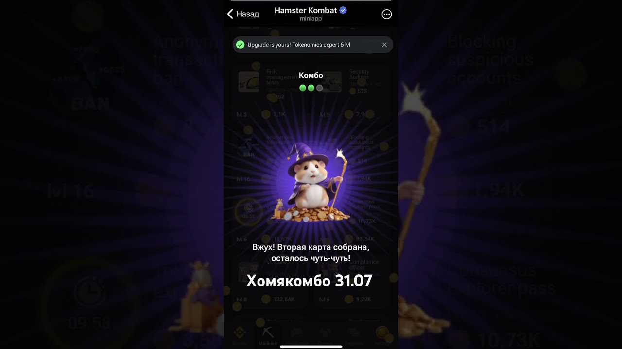 Хомякомбо 31.07 