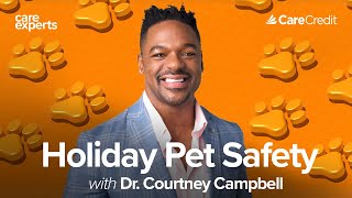 How to Have a Pet-Safe Holiday Season with Dr. Courtney Campbell | Care Experts by CareCredit