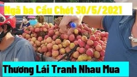 Tại Ngã Ba Đồng Cốc Giá Vải Thiều Lục Ngạn 30/5/2021 l Nui Doi Luc Ngan 98 l Luc Ngan Litchi