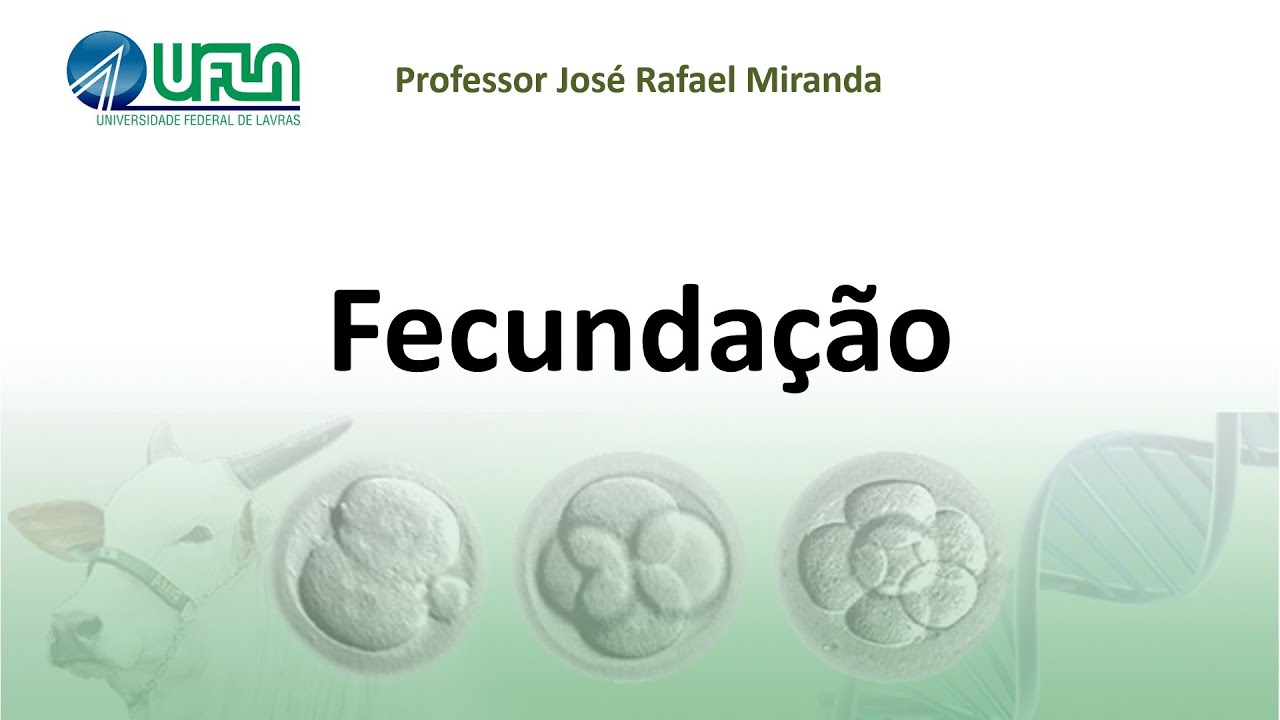 Fecundação