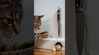 Just One Sniff And Boom Mouse In Danger Zone?