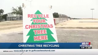 Christmas tree, cardboard recycling locations now open
