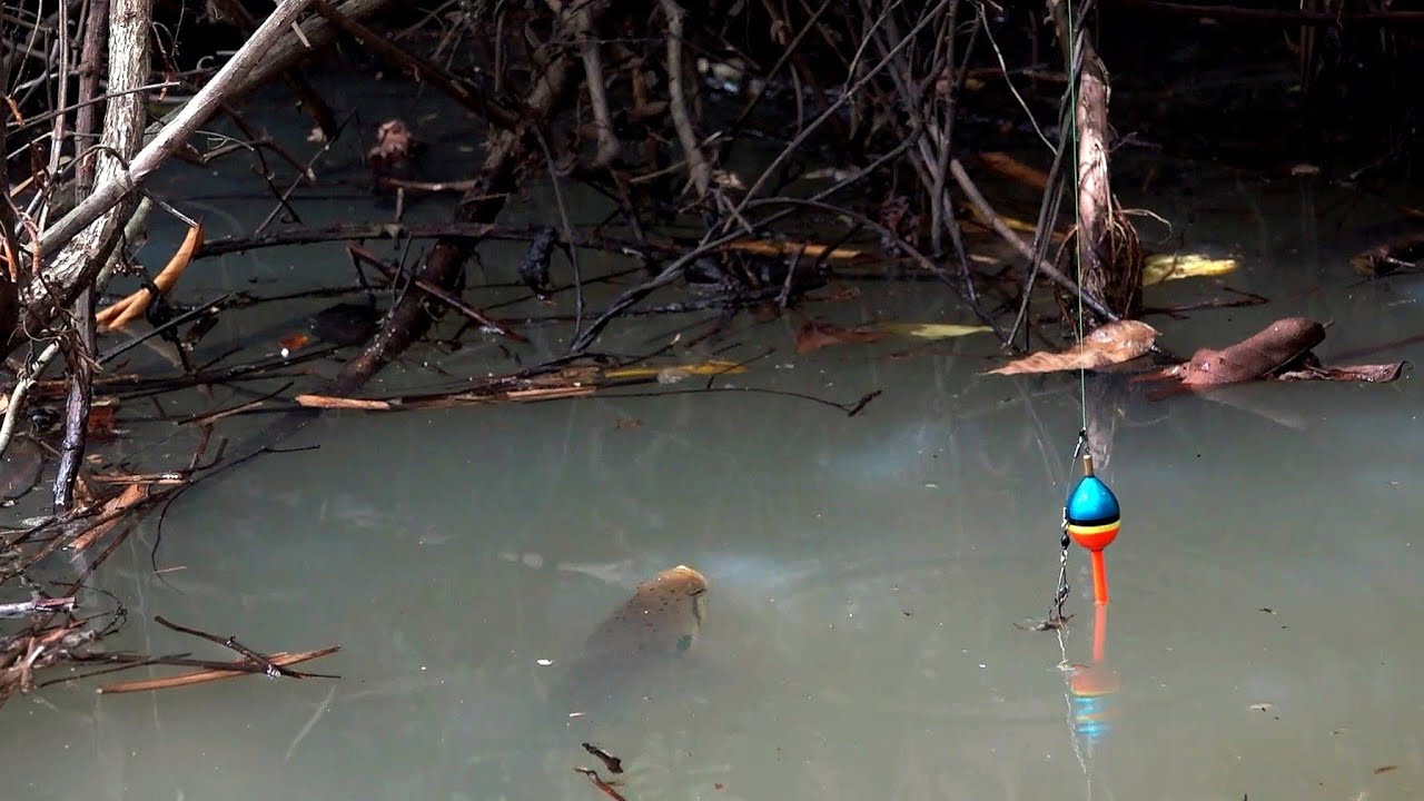 Ganasnya gak ada lawan spot mancing saat baru dibuka #SG-442