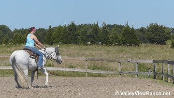 Smart Jag Time - working the mechanical cow! - ValleyViewRanch.net