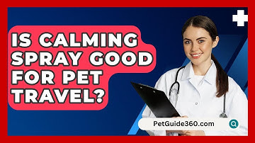 Is Calming Spray Good For Pet Travel? - PetGuide360.com