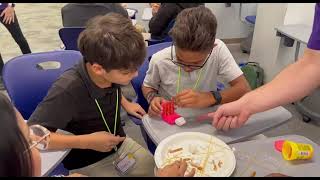 Opportunities Start Here in Hillsborough County Public Schools!