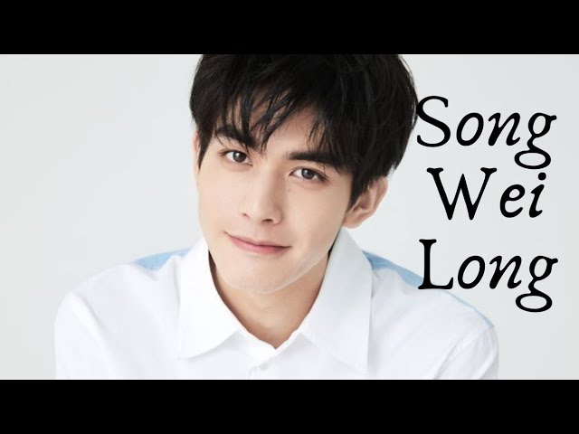 Song Weilong (actor) - Wikipedia