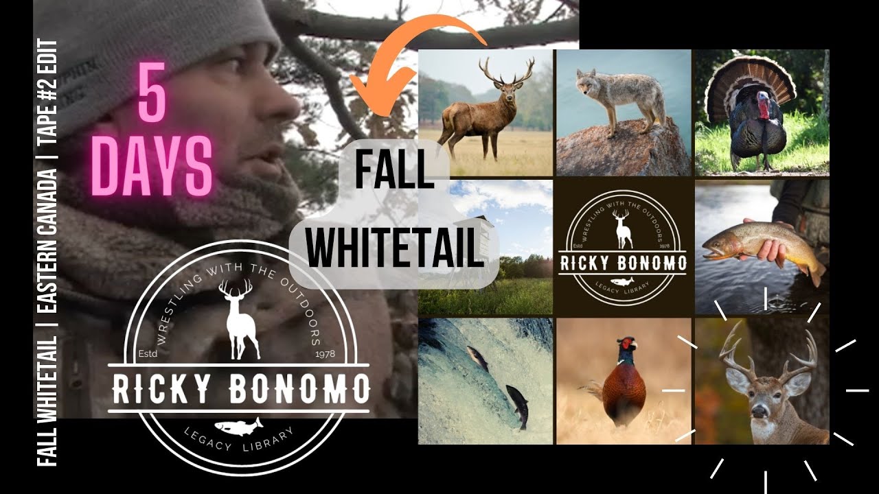 Deer Hunting 🦌 WHITETAIL Eastern CANADA 🇨🇦 Ricky Bonomo YouTube
