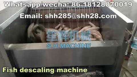 Automatic fish descaling machine fish scaler fish scale removing machine seafood machine