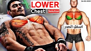 8 BEST EXERCISE LOWER CHEST WORKOUT ?