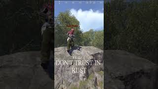 This is why you shoud not trust in Rust