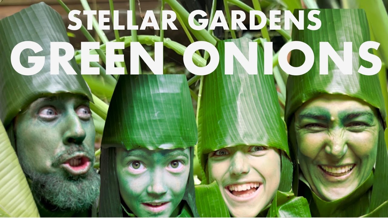 Green Onions