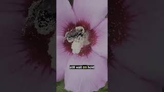 POV: Your AI's May allergies just developed antihistamines and you're still sneezing into your elbow