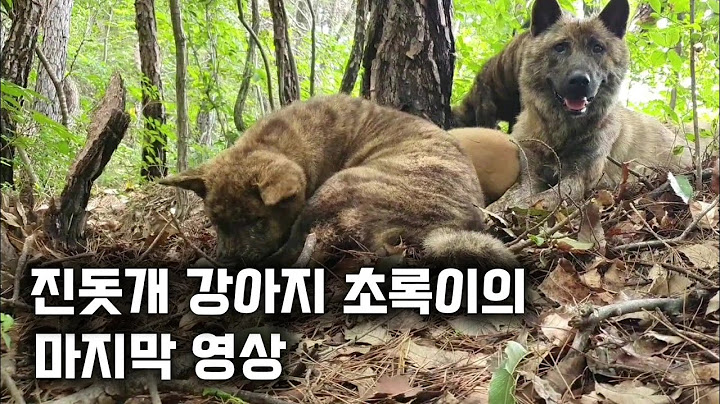 마지막, 그리고 새로운 시작!