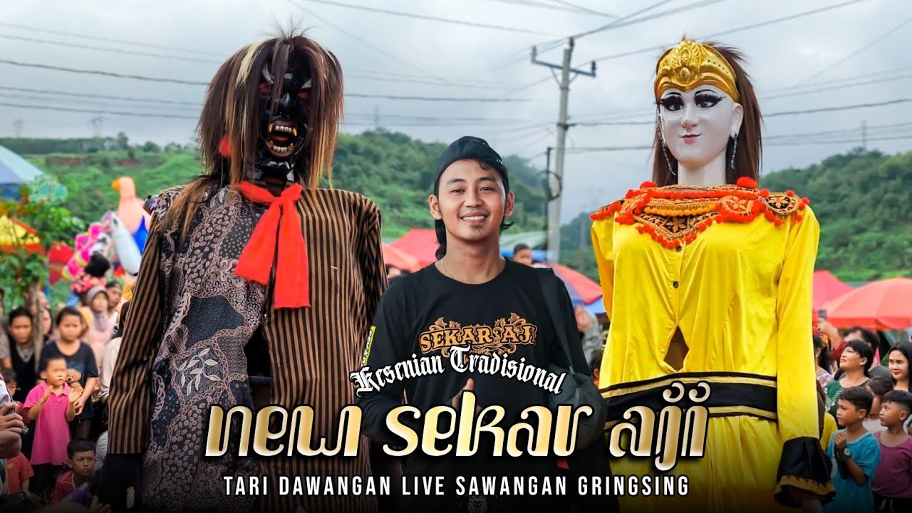 MASTER BUDI CENTONG NGAMUK!! DAWANGAN SEKAR AJI LIVE GRINGSING