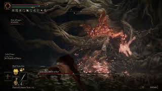 Malenia clone attack