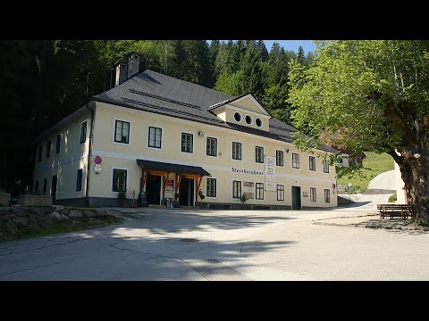 Video: Altaussee S alt Mines Guide. Նացիստների կողմից թալանված արվեստ Ավստրիայում