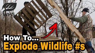 How to Create Rabbit Huts, Grouse Habitat and Turkey Nesting