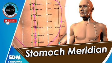 SDM E-Learning: Stomach Meridian (Dr. Geetha B Shetty)