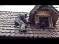Photovoltaic Off Grid system with idella solar panels in Romania Photovoltaic Off Grid system with idella solar panels in Romania