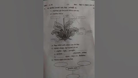 दहावी सराव प्रश्नपत्रिका विज्ञान व तंत्रज्ञान भाग 2 2023-24