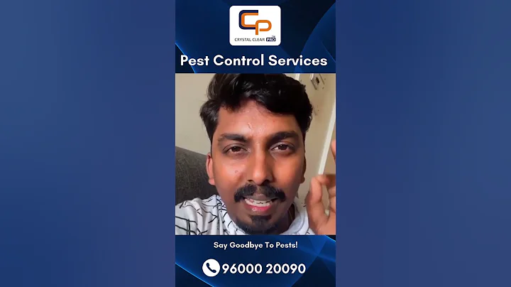Effective Pest Control Services in Chennai 🐜 | Keep Your Home Safe & Pest-Free! #crystalclearpro