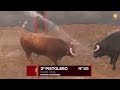 Sorteo toros de Garcigrande en Sevilla, martes 25 de abril 2023