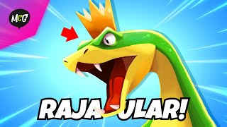 Raja Ular Terpanjang! - Snake Rivals