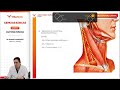 CB25 AH 4 11 CUELLO TRIANGULO CERVICAL LATERAL mp4