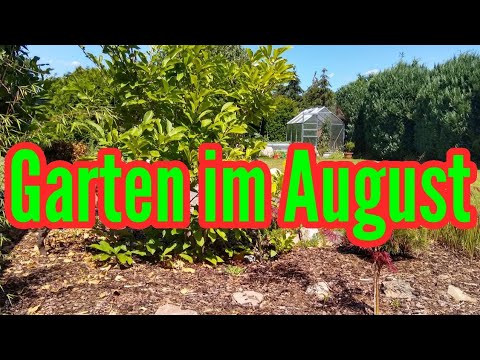 Video: Woran Sollte Ein Gärtner Im August Denken? Saisonale Gartenarbeit. Foto