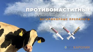 видео: Противоэндометритные и противомаститные ветеринарные препараты-новинки Белкаролин картинка: Противоэндометритные и противомаститные ветеринарные препараты-новинки Белкаролин