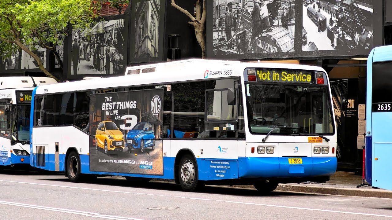 Busways Willoughby M/O 3836 - Scania L113CRL Ansair Orana 