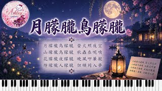 Download Lagu 鳳飛飛 - 月朦朧鳥朦朧 Moon Fascination, Bird Sweet|瓊瑤電影|《品鋼琴》 Piano Cover 鋼琴演奏 Download Lagu 鳳飛飛 - 月朦朧鳥朦朧 Moon Fascination, Bird Sweet|瓊瑤電影|《品鋼琴》 Piano Cover 鋼琴演奏