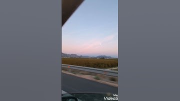 سورة النبأ