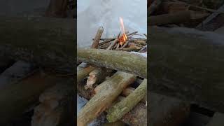 Collecting tree bark for bushcraft fire | deep snow | CANADA Deep freeze -17C