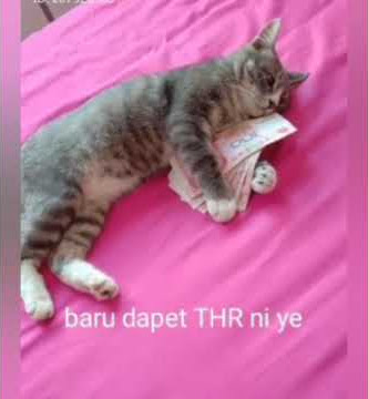 Baru Dapat THR || status wa lucu || story wa lucu