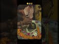 mahadev 🙏🙏#mahadev🙏#kashivishwanath #mahakaleshwar