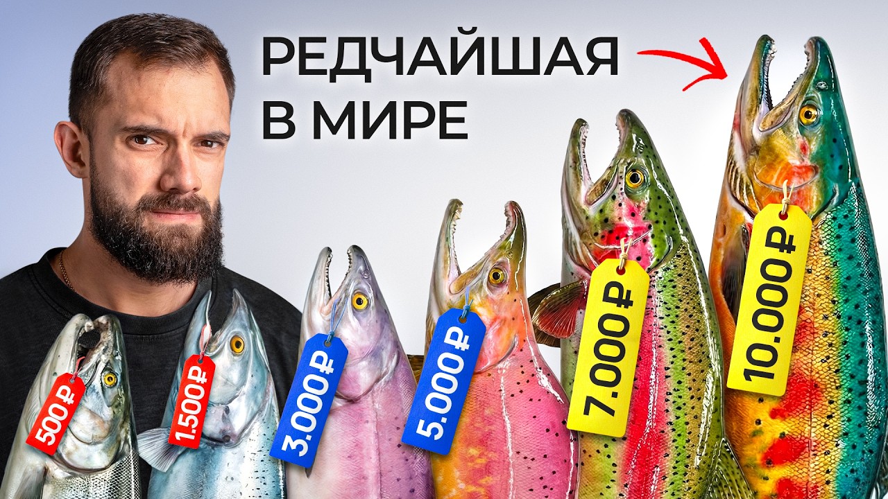 Я Приготовил Все ЭКЗОТИЧЕСКИЕ Виды Лосося
