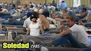 SOLEDAD STATE PRISON 85 (CALIFORNIA)
