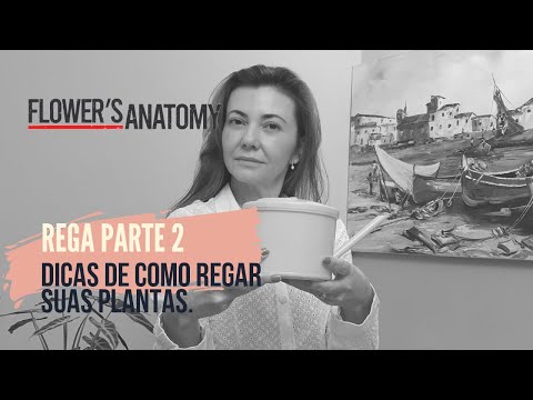 Vídeo: Mais Uma Vez Sobre As Regras De Rega