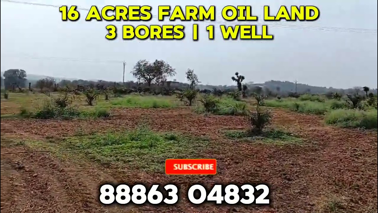 12 ACRES OF FARM OIL LAND FOR SALE | NEAR HANAMKONDA | HYDERABAD | #landforsalehyderabad #farmland 