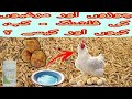 How, When & why to do flushing of chicks and Hens?
