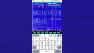 Welcome to La Terminal