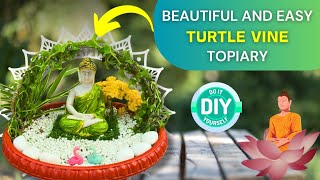 Beautiful and Easy turtle Vine Topiary ideas 💡Super easy Turtle vine topiary for beginners by Garden of Kavita 900 views 1 month ago 5 minutes, 44 seconds